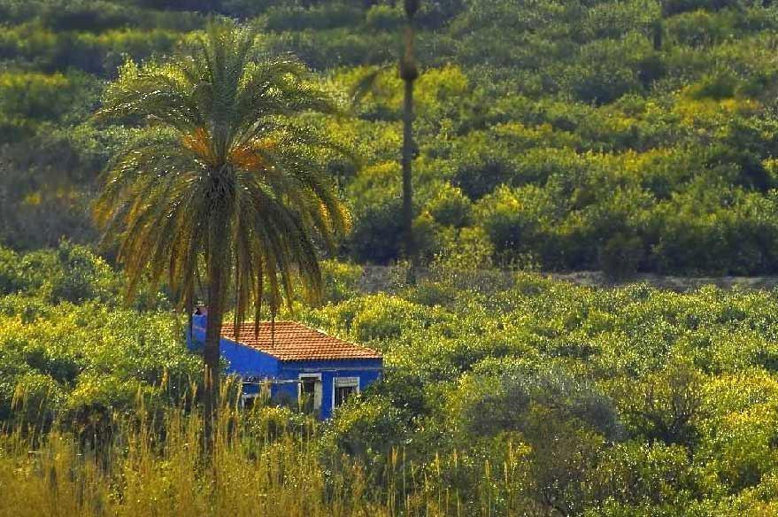 Sol Mediterraneo อาร์เชนา ภายนอก รูปภาพ