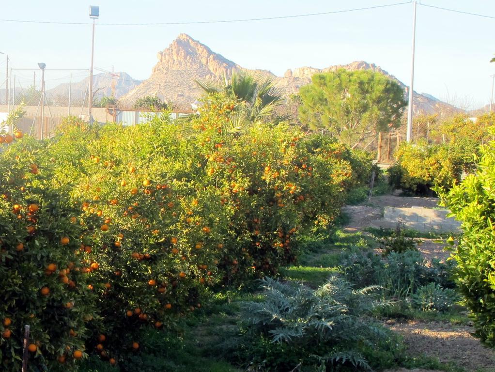 Sol Mediterraneo อาร์เชนา ภายนอก รูปภาพ