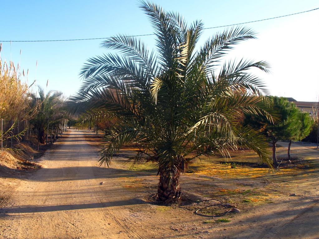 Sol Mediterraneo อาร์เชนา ภายนอก รูปภาพ